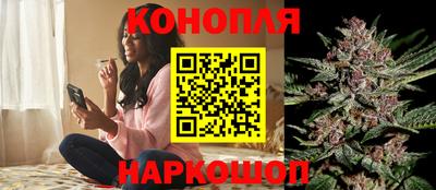 гидропоника Будённовск