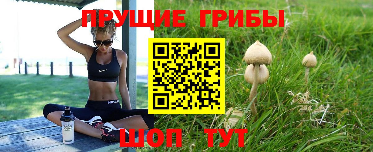 Псилоцибиновые грибы ЛСД Нягань